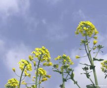 长沙农家乐一日游，野炊烧烤团建，沃之园农庄