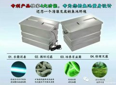 深圳私家锦鲤鱼池过滤系统
