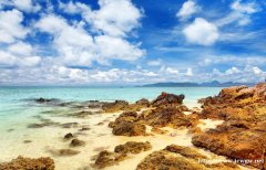 北京直播演出团体如何办理营业性演出许可证