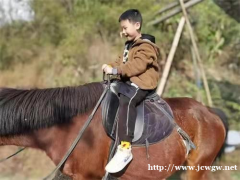 黑麋峰罗汉山庄——野炊户外团建+柴火野炊/自助烧烤