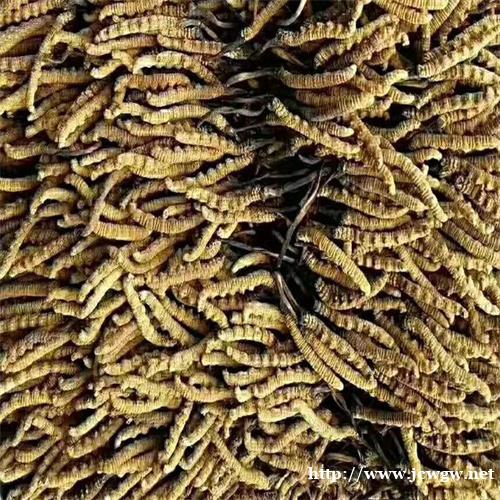 宜宾礼品回收怎么去鉴别扳倒井酒的真假 宜宾礼品回收怎么去鉴别扳倒井酒的真假