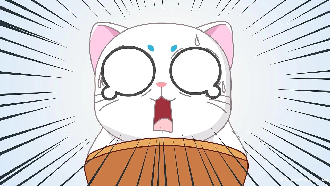 杭州玄猫动画制作,3D 二维 杭州玄猫动画制作,3D 二维