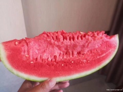 2024年辽宁西瓜代办/新民西瓜代办