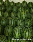 教你判断西瓜的成熟度