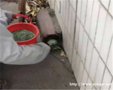 为什么漳浦灭鼠公司不能连续使用传统的灭鼠方法?