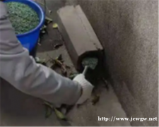 漳浦灭鼠公司介绍这种常见的灭鼠方法