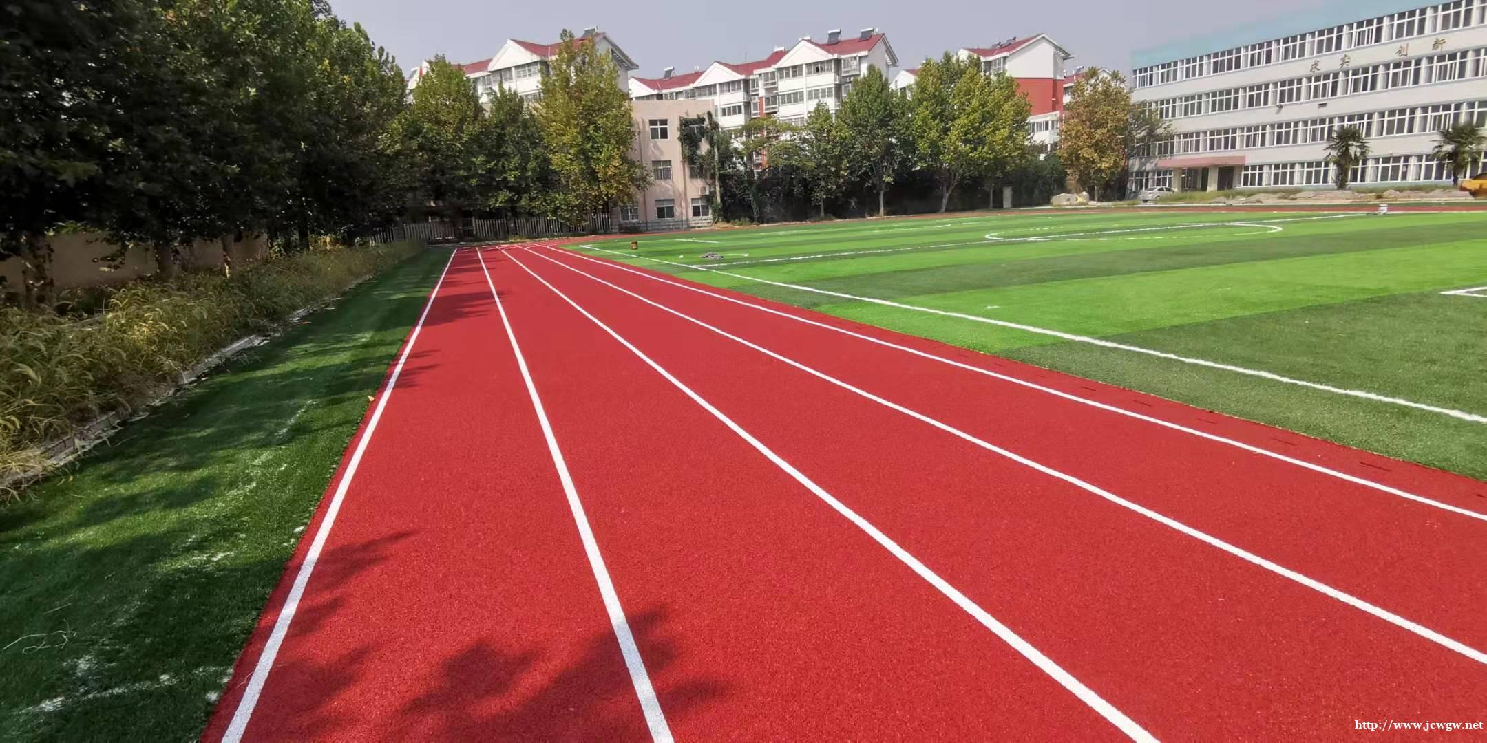 承接运动场馆全塑型塑胶跑道场地施工 金格体育 承接运动场馆全塑型塑胶跑道场地施工 金格体育