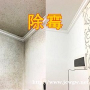 广州市白云区专业室内除霉公司，解决房屋墙面发霉问题