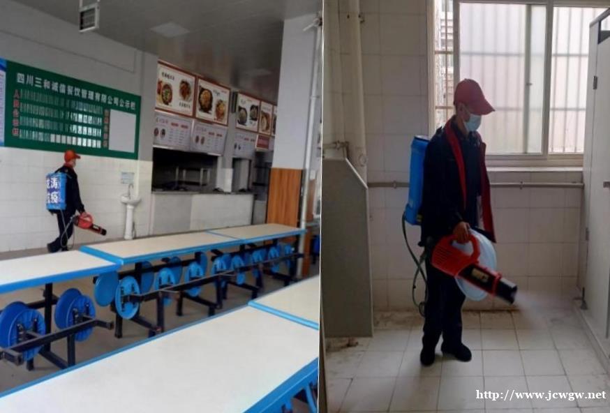 蟑螂不会只需一只,卵鞘隐藏在雌蟑螂身上 蟑螂不会只需一只,卵鞘隐藏在雌蟑螂身上