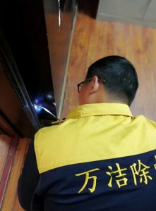 写字楼吸烟区有蟑螂出没，怎样的消杀能保持清洁？