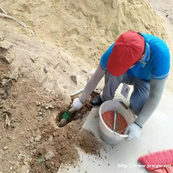 福州灭白蚁公司为您介绍什么是白蚁? 福州灭白蚁公司为您介绍什么是白蚁?