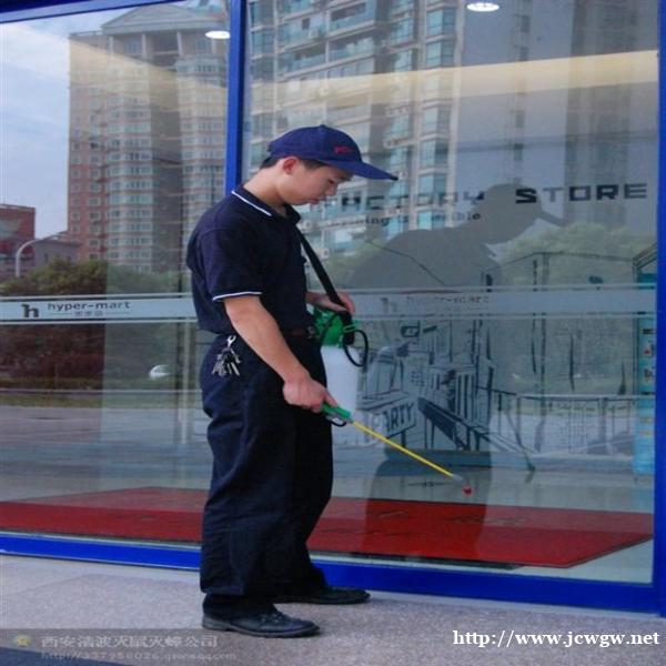 建德灭白蚁公司就教大家怎么用简单四招发现隐蔽的白蚁 建德灭白蚁公司就教大家怎么用简单四招发现隐蔽的白蚁