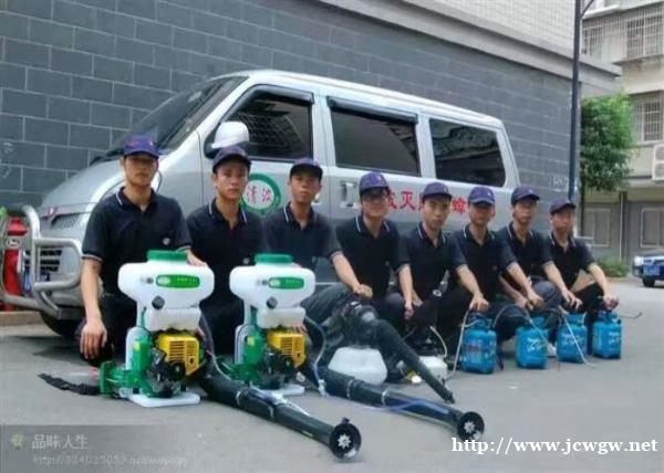 建德灭白蚁公司介绍台湾乳白蚁的蚁巢形状与特征 建德灭白蚁公司介绍台湾乳白蚁的蚁巢形状与特征