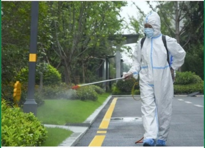 淳安消杀公司讲解为什么一定要做白蚁预防？