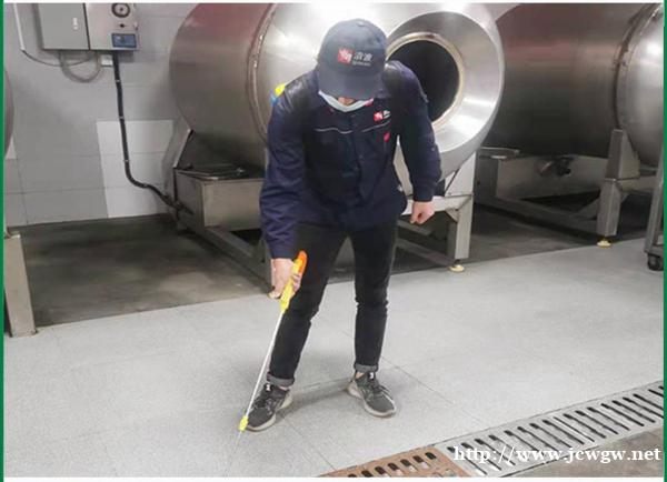 淳安灭蟑螂公司提示室内为什么会滋生蟑螂 淳安灭蟑螂公司提示室内为什么会滋生蟑螂