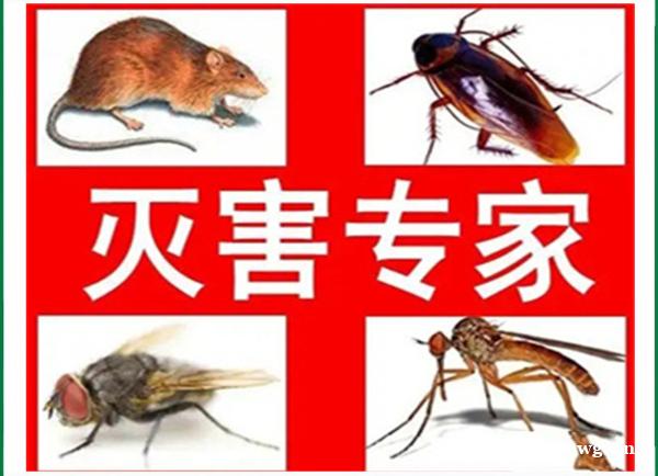 淳安除四害公司关于害虫防治的问题解答 淳安除四害公司关于害虫防治的问题解答
