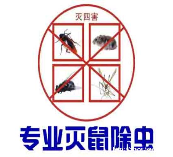 宿迁灭鼠公司告诉你如何灭鼠 宿迁灭鼠公司告诉你如何灭鼠