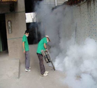 宿迁灭白蚁公司教您如何灭白蚁