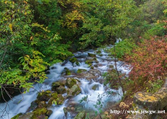 神农架风景区 神农架风景区