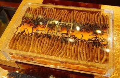 浅谈为什么济南回收冬虫夏草价格有差价