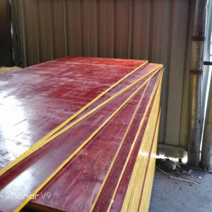 广州建筑模板专业生产厂家有哪些