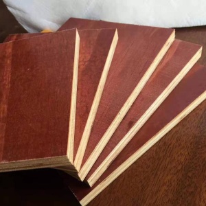 广东清水覆模板