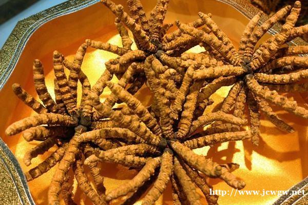 济源回收礼品礼品冬虫夏草茅台酒五粮液等名酒老酒洋酒 济源回收礼品礼品冬虫夏草茅台酒五粮液等名酒老酒洋酒