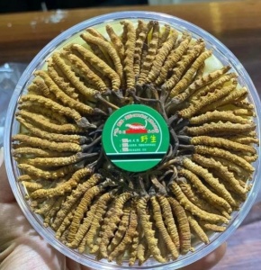 焦作回收礼品礼品 冬虫夏草 实力回收茅台酒五粮液