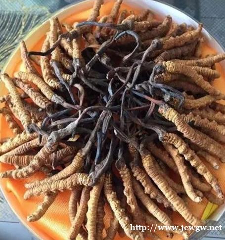 新津虫草回收多少钱 新津虫草回收多少钱