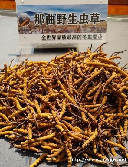 江津回收2500条冬虫夏草是多少钱 江津回收2500条冬虫夏草是多少钱