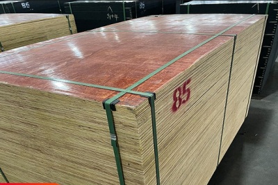 广州哪家生产的红面黄边建筑模板 防水效果好