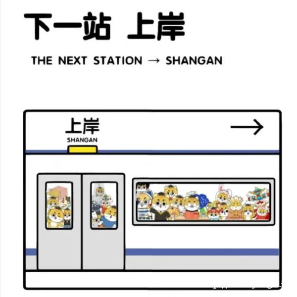 南京财经高等职业技术学校五年制专转本考生需要报辅导班吗 南京财经高等职业技术学校五年制专转本考生需要报辅导班吗
