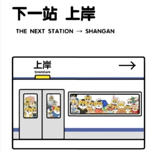 南京财经高等职业技术学校五年制专转本考生需要报辅导班吗