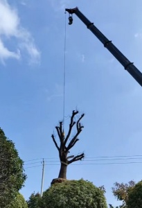 工地地面承重检测：吊车支腿摆放科学方案！