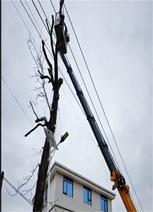 开平随车吊出租哪家好？本地吊车租赁公司_按需定制吊装方案_免费报价