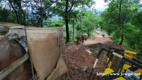 骡马运输队 骡马运输队