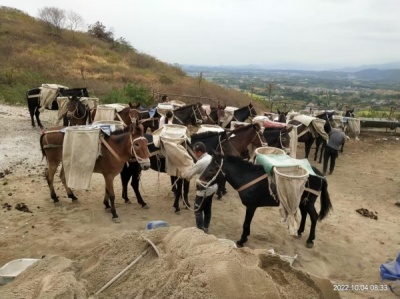 如何降低骡马运输的吨均成本？