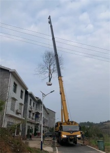 为何租赁吊车尽量选择距离卸货地较近的吊装公司？