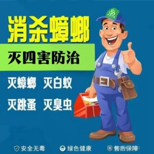 上海除蟑螂公司 上海灭鼠公司上门家庭灭鼠防虫杀虫公司专业除白蚂蚁