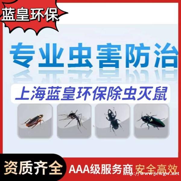 上海灭四害消杀公司上门灭鼠除虫蟑螂源头治理专业施工 上海灭四害消杀公司上门灭鼠除虫蟑螂源头治理专业施工