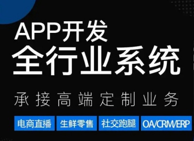 20年经验专注各行业电商购物行业门户政务企业等APP小程序开发H5网站建设