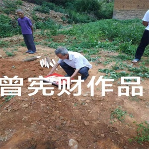 看风水看什么？江西风水大师的核心技艺解析