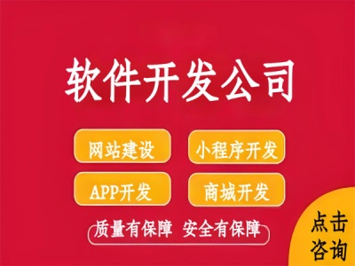 南昌有安全保障的网站小程序APP软件开发公司