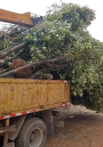 凯里随车吊出租价格是否包含操作人员费用？答案在这里​