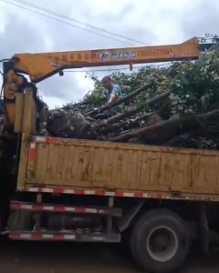 凯里随车吊租赁，选择带司机和不带司机哪种更省心？​