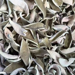 化州橘红批发零售招商加盟全国一件代发