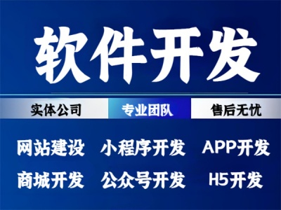 互联网服务团队,南昌网站小程序APP软件开发