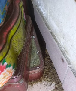 家中木质家具被白蚁蛀坏，韶关哪家公司能修复并防治？