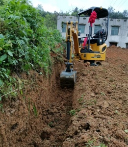 重庆小挖掘机出租成农户新选择